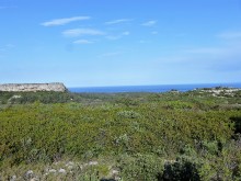 Tafelberg von La Clape