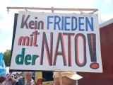 Demonstrant mit Schild, Berlin, 03.08.2024
