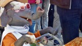 Jochen war als Ehrengast dabei