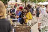Besucher beim Handwerker Markt 2025