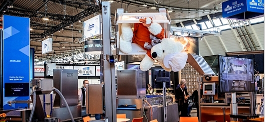 wenn der Bär Kopf steht ist südback